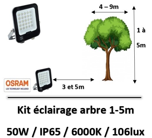 eclairage-arbre