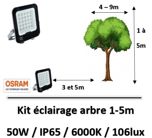 eclairage-arbre-led