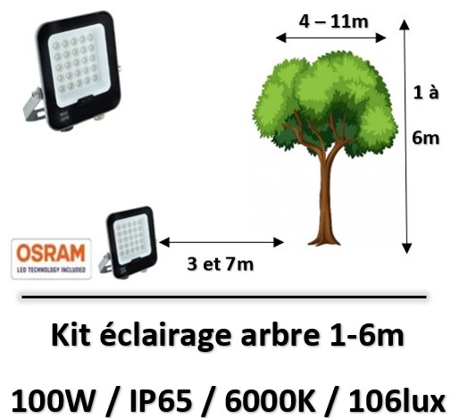 eclairage-arbre-led
