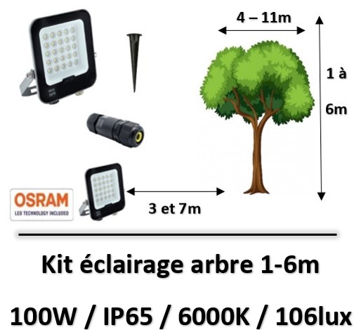 projecteur-led-arbre
