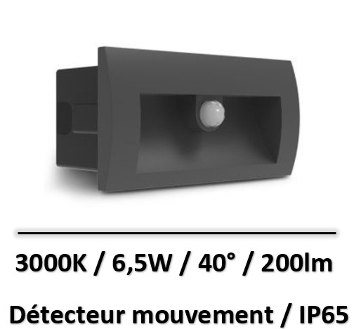 balise-led-noir-6W