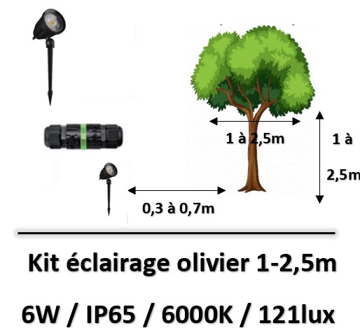 eclairage-olivier-6000K