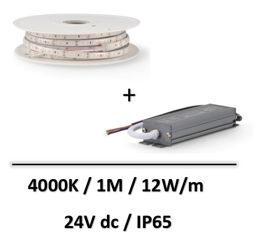 ruban-led-24V