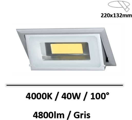 spot-led(gris-beneito-faure-led