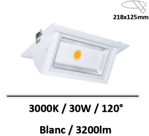spot-led-blanc-76900