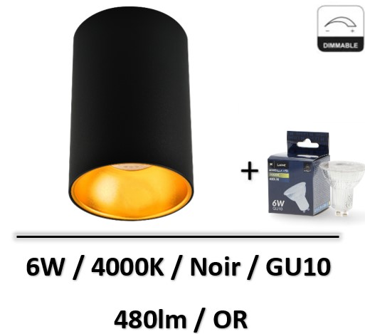spot-led-saillie-noir-or-dimmable