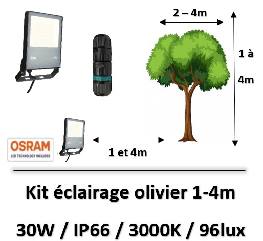 projecteur-led-30W-arbre