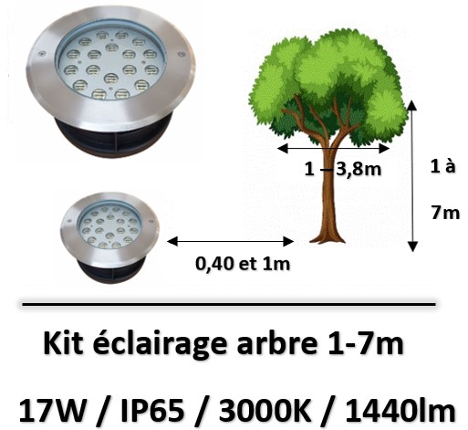 eclairage-arbre-led
