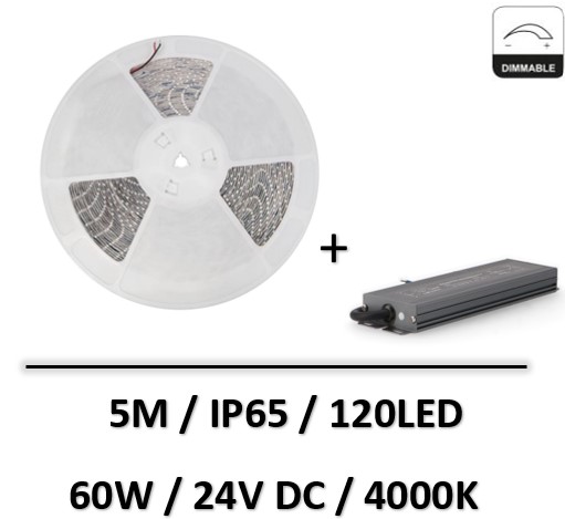ruban-led-IP65