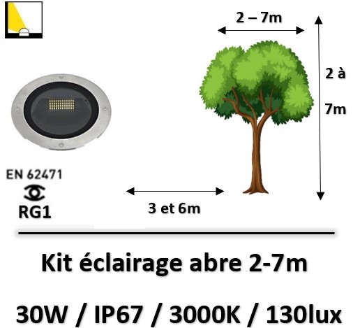 eclairage-arbre