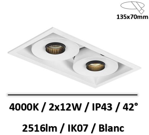 spot-encastre-magasin-blanc-2x12w