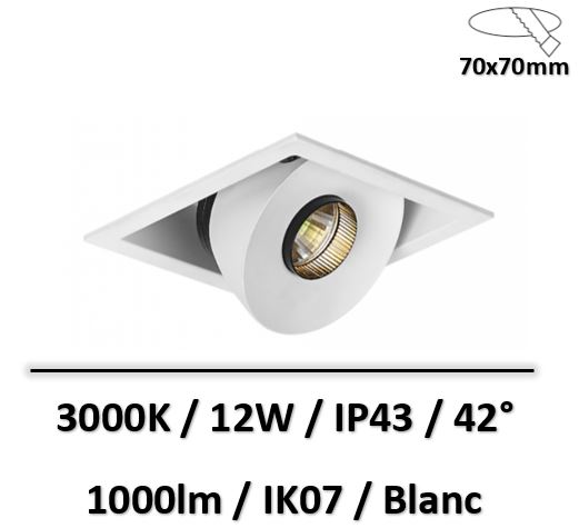 spot-blanc-lited-12w-boutique