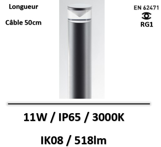 borne-led