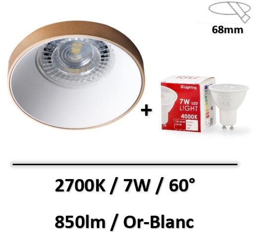 spot-led-blanc-or-led
