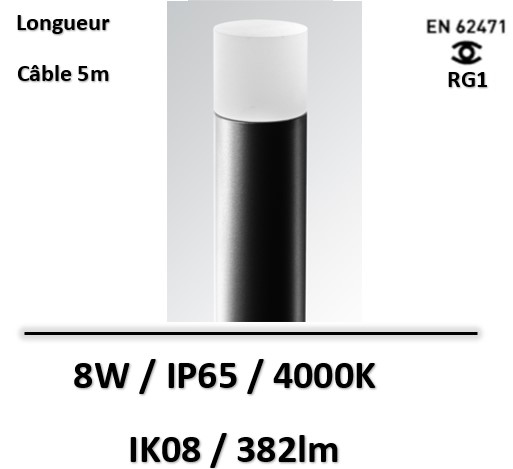 borne-led