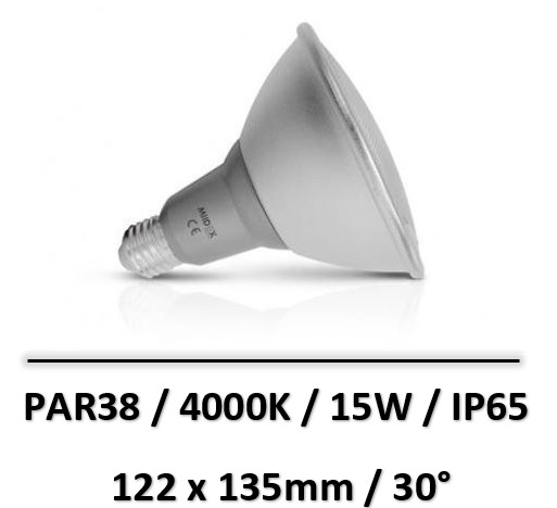 ampoule-led-PAR38-15W