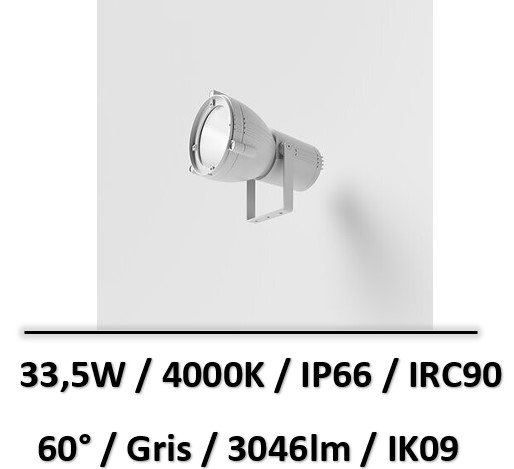 spot-led-reef-side-gris