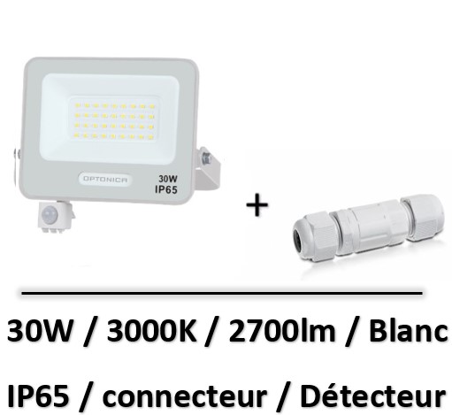 projecteur-led-detecteur