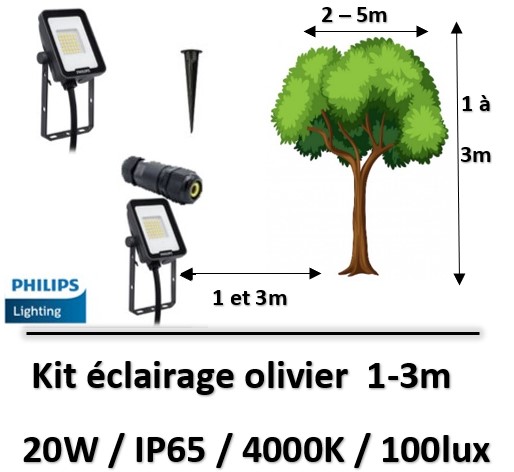 eclairage-olivier-philips-20W
