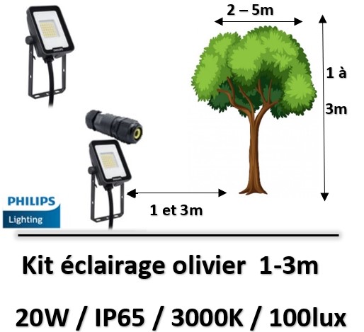 projecteur-led-philips-olivier