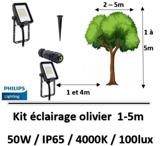 eclairage-olivier-philips-50W
