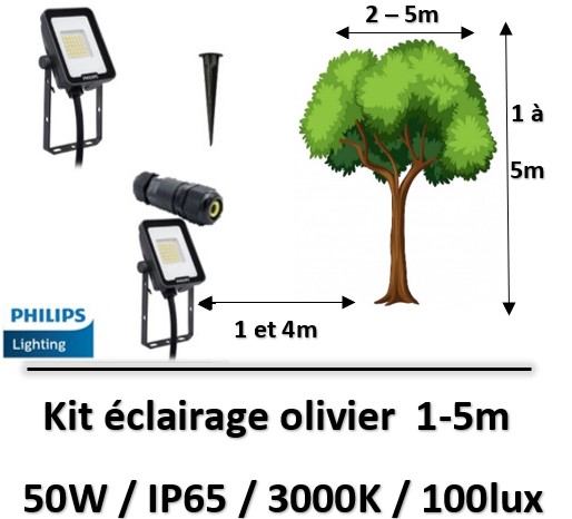 projecteur-arbre-philips