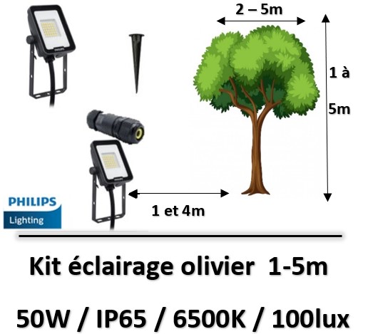 eclairage-arbre-philips