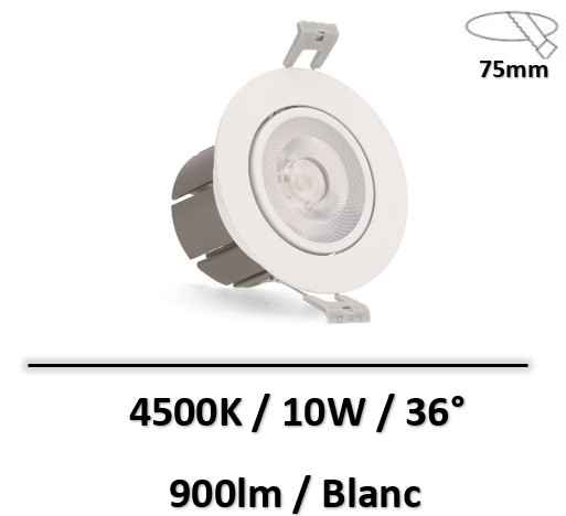 spot-led-cob