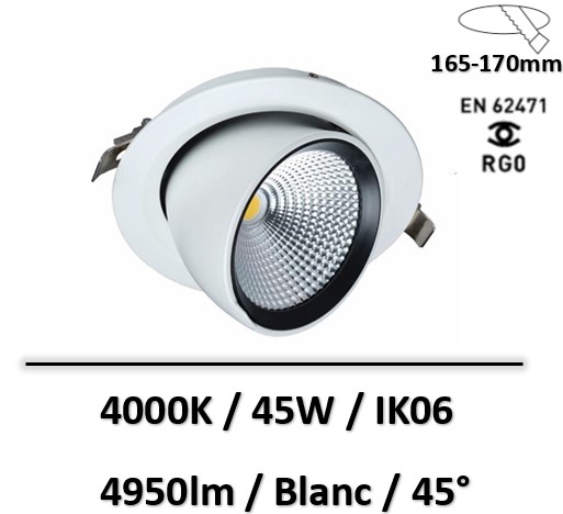spot-snail-lited