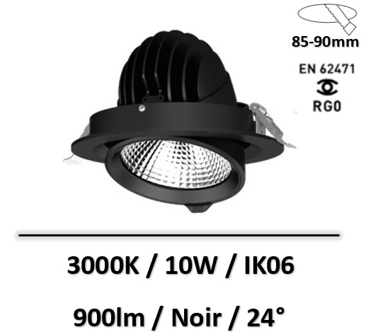 spot-snail-noir
