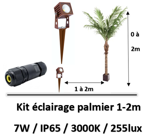 eclairage-palmier