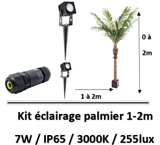 eclairage-palmier