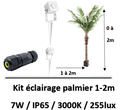 eclairage-pour-palmier