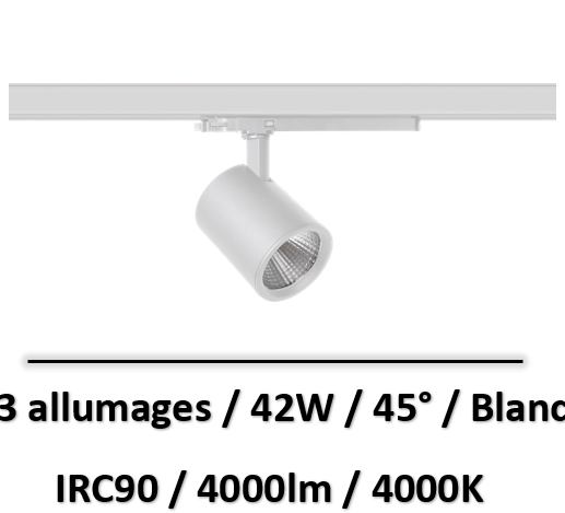 spot-sur-rail-blanc