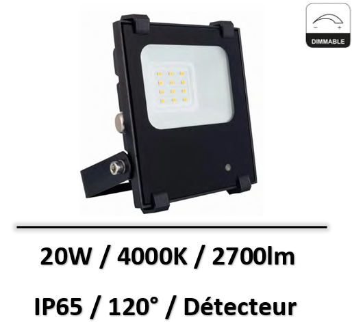 projecteur-20W