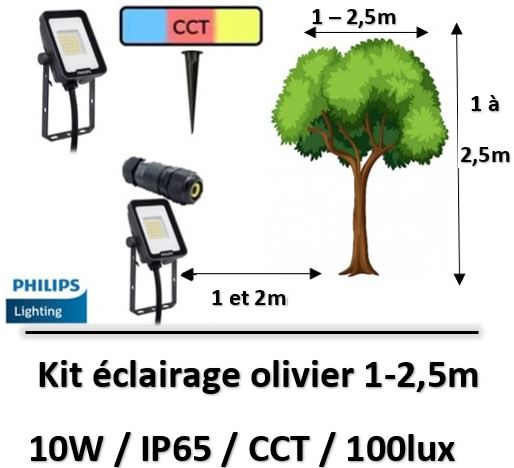 projecteur-led-olivier