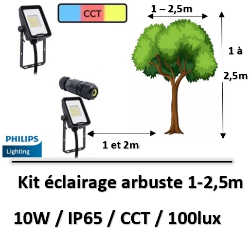 eclairage-arbuste