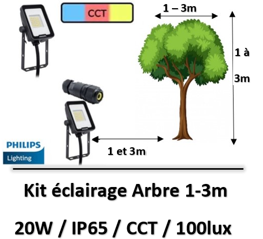 eclairage-arbre