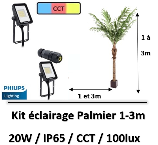 eclairage-palmier