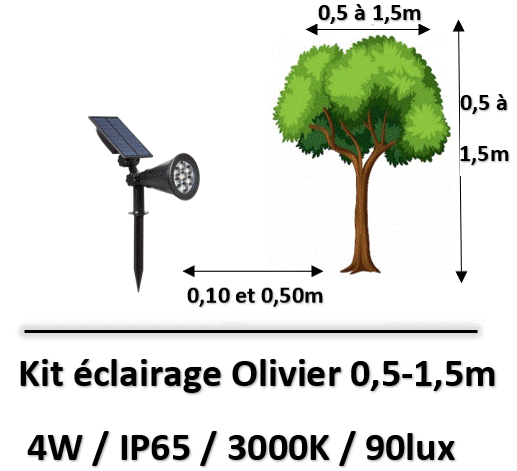 eclairage-olivier