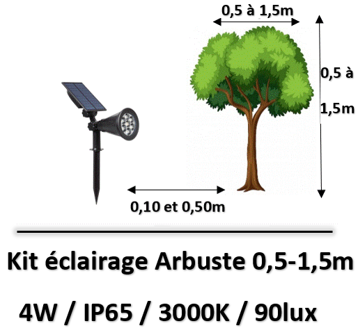 eclairage-arbuste