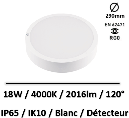 falcon-lited