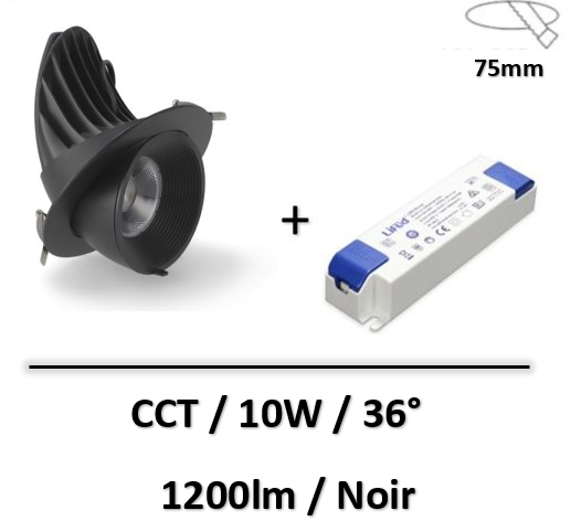 spot-led-escargot-noir