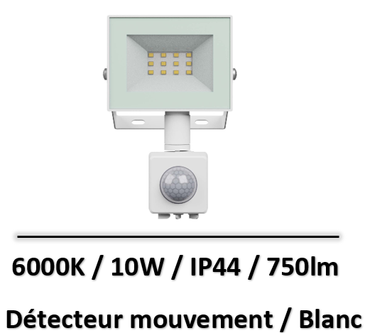 projecteur-led-10W-blanc-spe