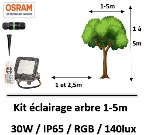 eclairage-arbre