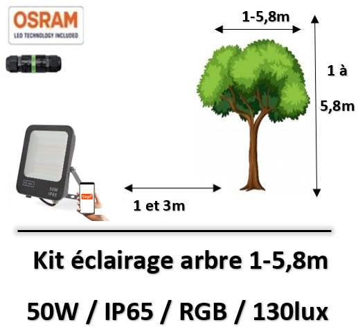 eclairage-arb-RGB