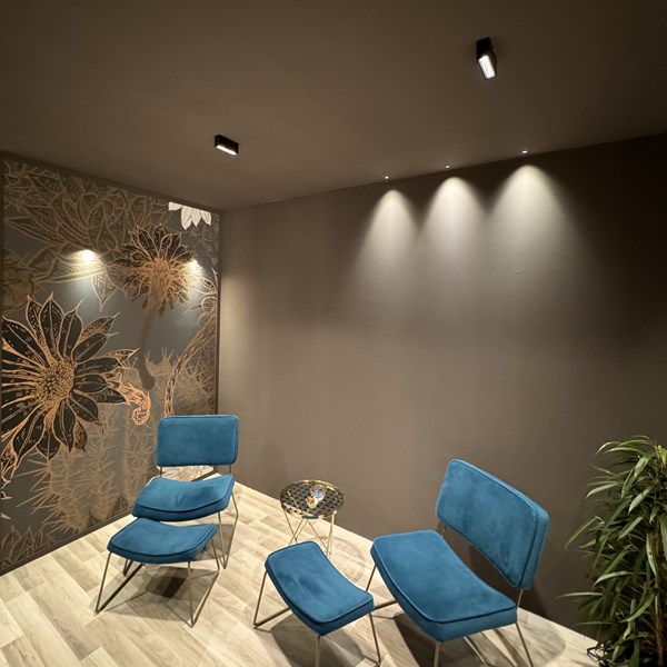 udeo ceiling