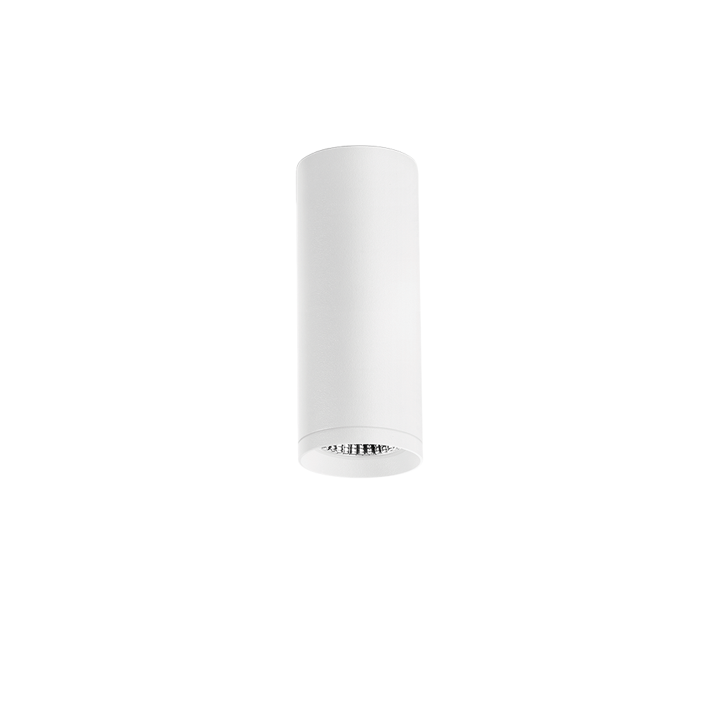 top-02_01-top-WT