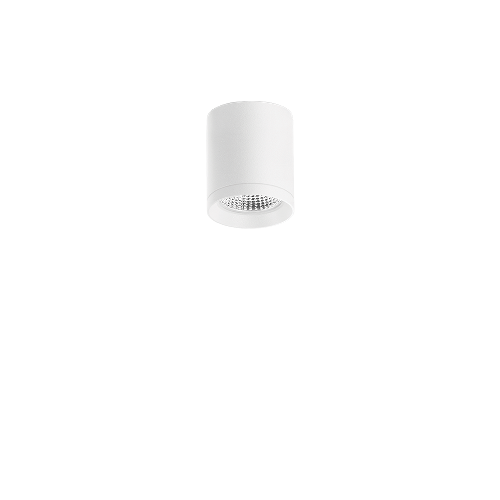 top-02_01-top_mini-WT