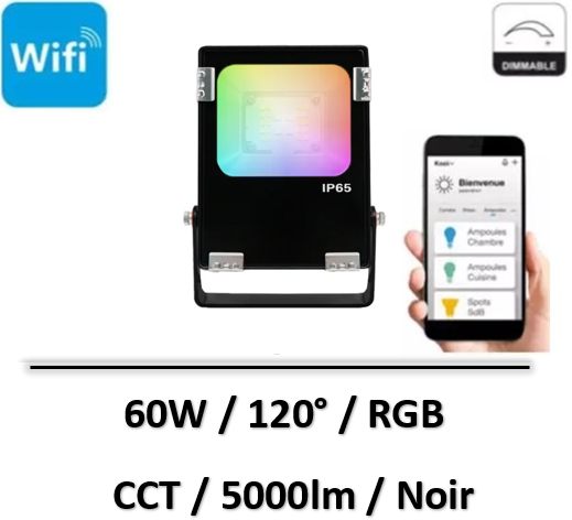 projecteur-zigbee-c60W